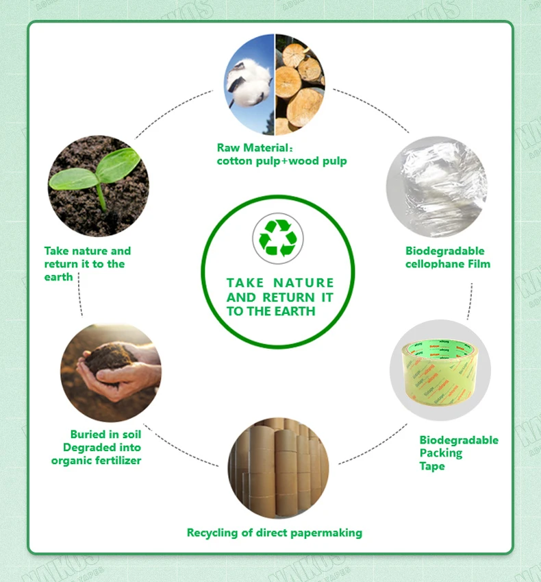 biodegradable sellotape.jpg